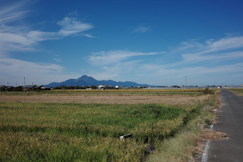 稲刈りはこれからがたけなわ