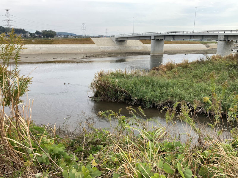 豊田川は肥後豊田駅の東約１ｋｍで合志川左岸に合流